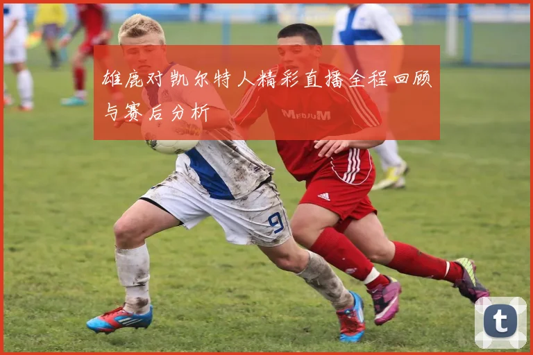 雄鹿对凯尔特人精彩直播全程回顾与赛后分析