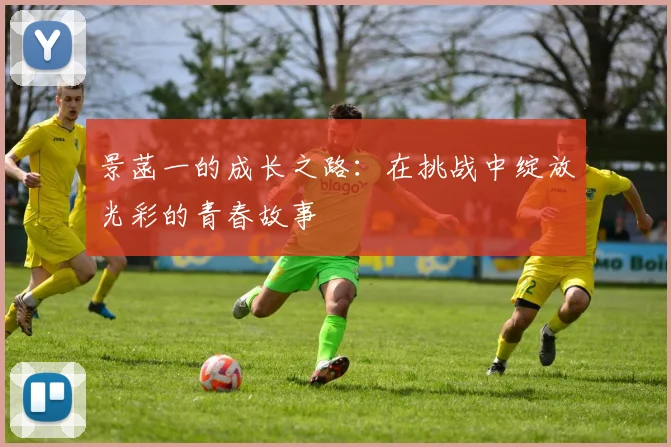 景菡一的成长之路：在挑战中绽放光彩的青春故事