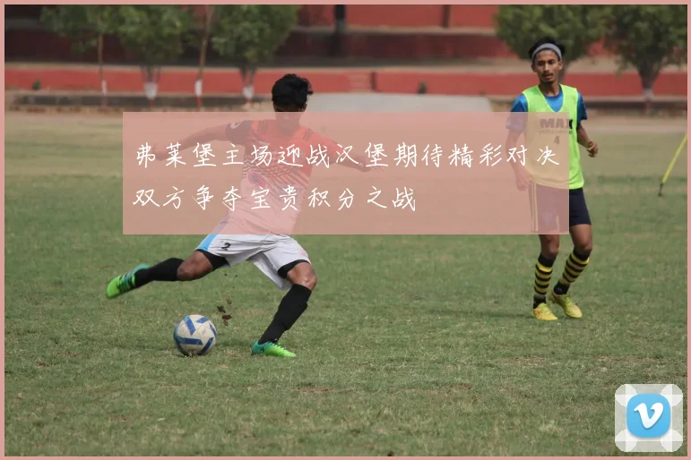 弗莱堡主场迎战汉堡期待精彩对决双方争夺宝贵积分之战